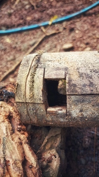 Fototapeta A close-up of a dry bamboo stem with a square hole, placed on the ground.