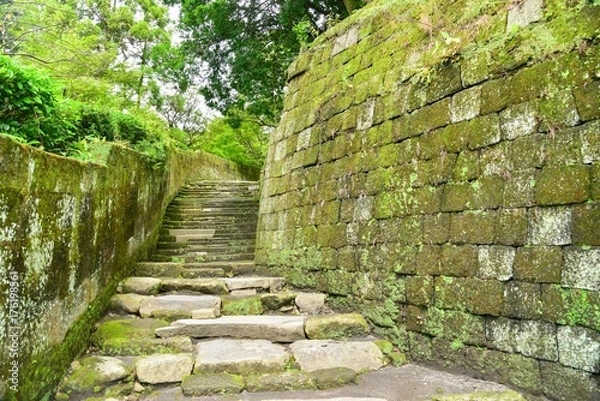 Fototapeta Stone Stairway Covered in Moss at Senganen Garden in Kagoshima
