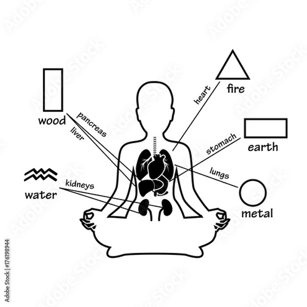 Fototapeta Five elements and human organs. Silhouette of sitting in meditation pose woman.