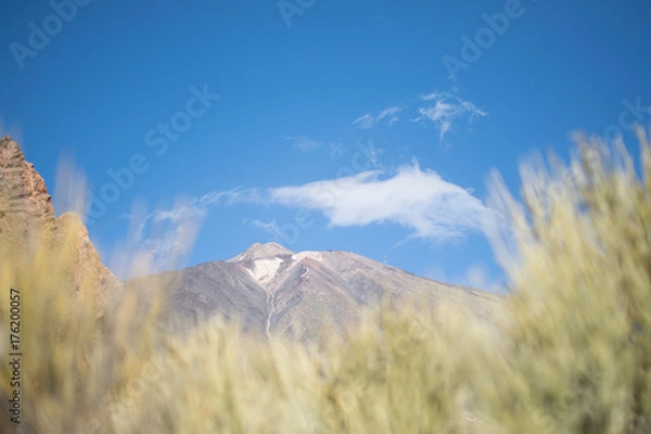 Fototapeta Teide on Tenerife with grass in the foreground