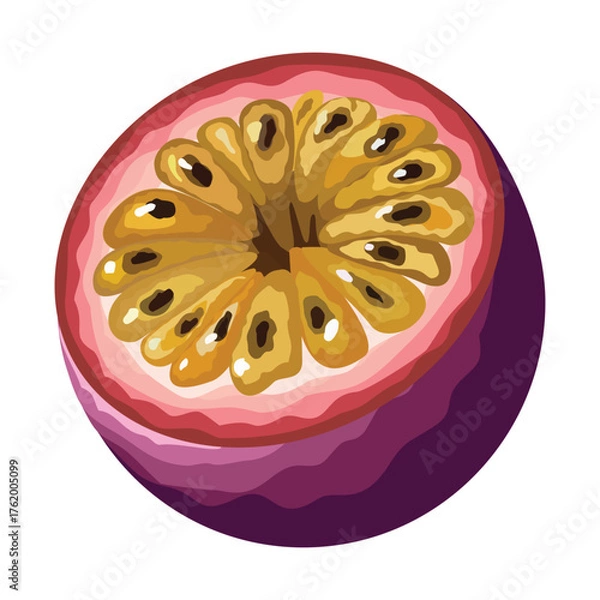 Fototapeta Passion fruit. Vector illustration. Highlights, shadows, vibrant design.