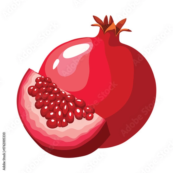 Fototapeta Pomegranate, vector illustration. Highlights, shadows, bright design
