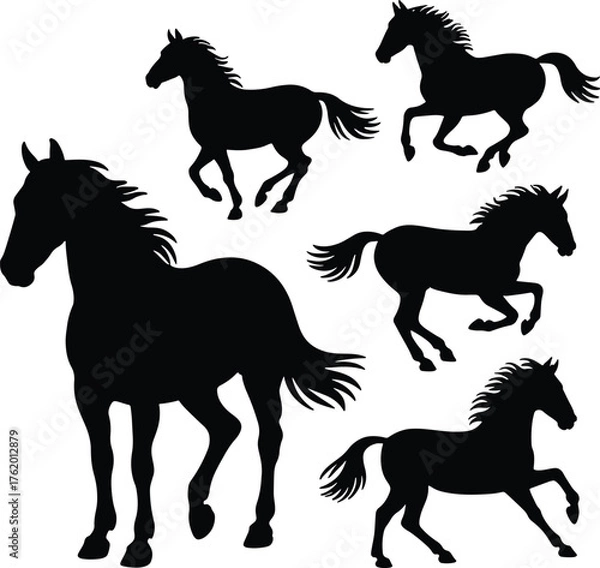Fototapeta Silhouette of horses running wild and free in a group herd