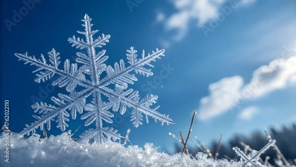 Fototapeta Beautiful snowy pine and fir trees in a winter forest landscape