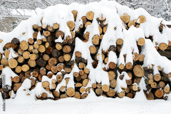 Fototapeta Neatly stacked brown fire wood covered in a layer of white snow with snow covered tree branches in the background.