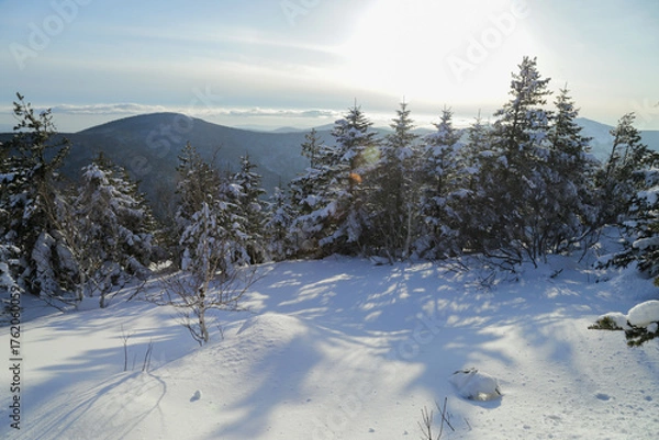 Obraz winter in the mountains