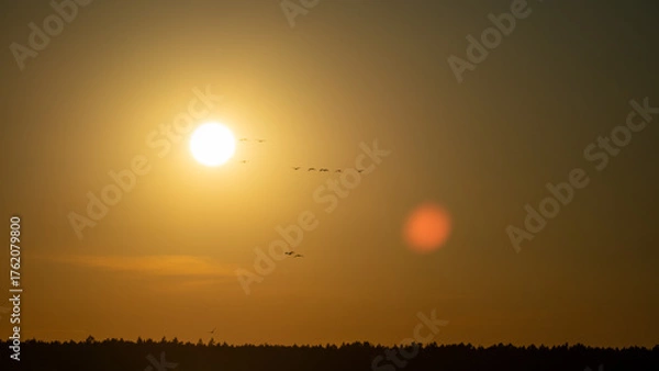 Obraz wschód słońca dolina baryczy