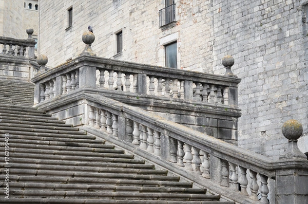 Fototapeta Grand stone staircase with ornate balustrades and spherical finials leading to a historic building. A pigeon perches on a post; the architecture suggests classical European design.