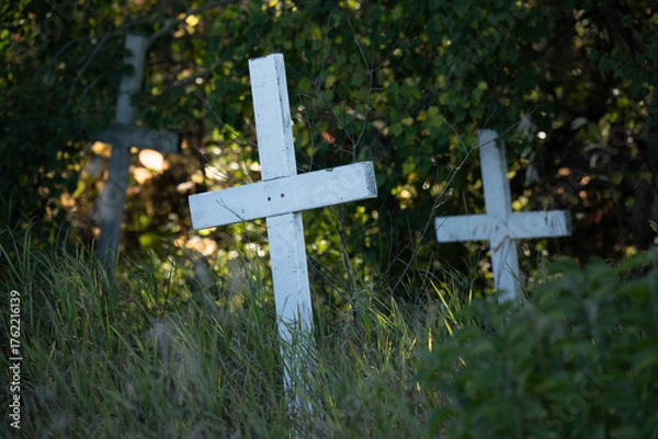 Fototapeta Three simple Christian wooden grave marker crosses surrounded by long grass and dark green leaves
