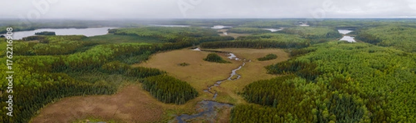 Fototapeta Aerial panorama of a large northern beaver marsh surrounded by green forest under an overcast sky with lakes in the background
