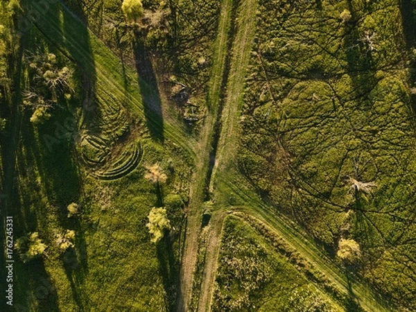 Obraz a clearing from above in summer