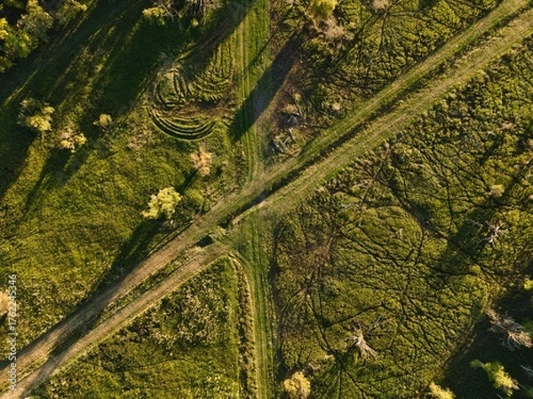 Obraz a clearing from above in summer