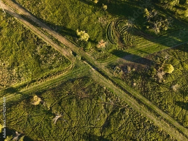 Obraz a clearing from above in summer