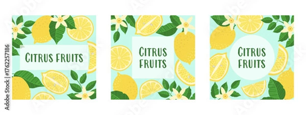 Obraz Three vibrant, square-shaped illustrations featuring citrus fruits, leaves, and slices, with a text placeholder. Ideal for banners, brochures, flyers, covers, cards, invitations, and other designs.