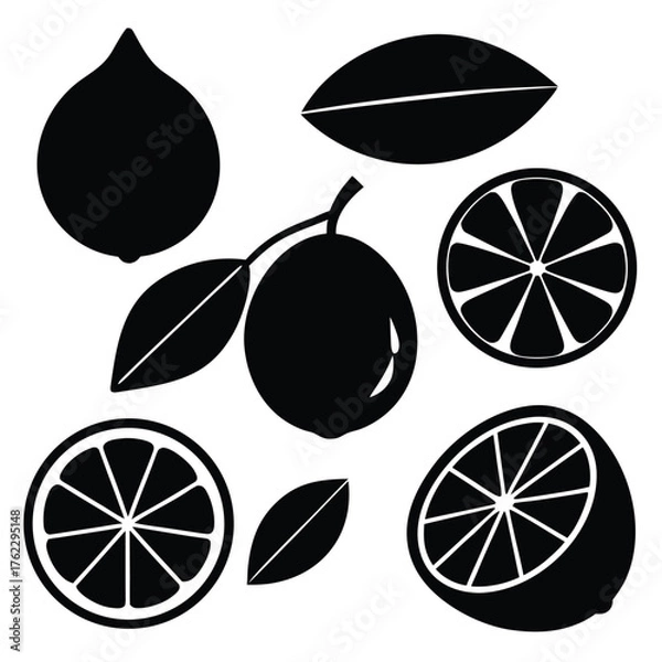 Obraz Lemon and Orange Slices Vector Icon Collection