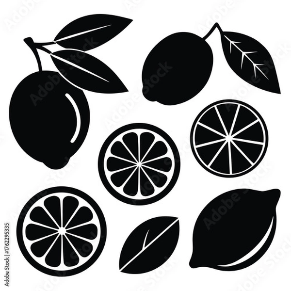 Fototapeta Adobe IllustratoCitrus Fruits and Leaves Silhouette Setr Artwork