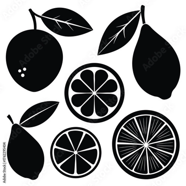 Obraz Adobe IllustratoCitrus Fruits and Leaves Silhouette Setr Artwork
