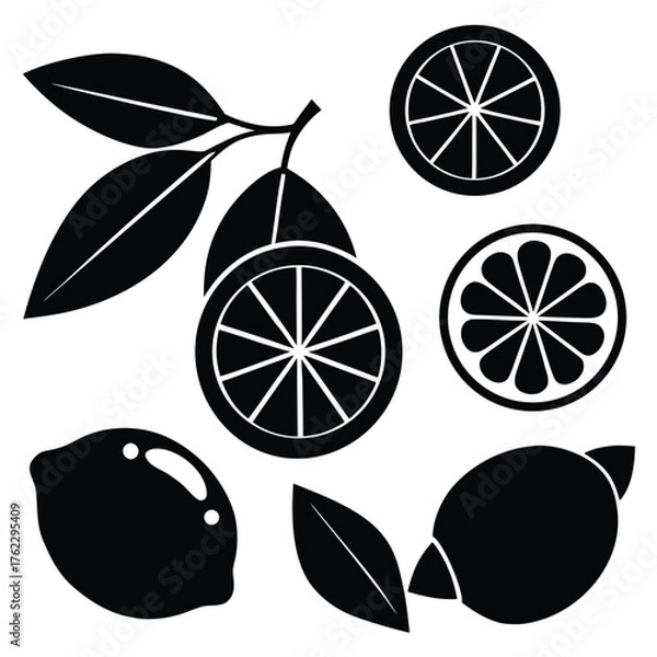Obraz Adobe IllustratoCitrus Fruits and Leaves Silhouette Setr Artwork