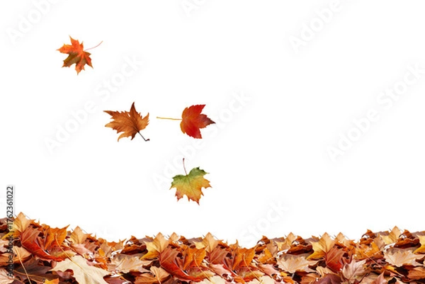 Fototapeta Stock photo of autumn leaves falling background seasonal foliage nature october november scene fall 100
