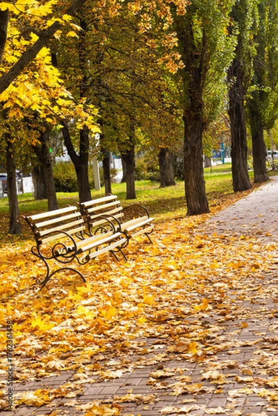 Fototapeta Fall scene with benches surrounded by colorful leaves in a park during autumn season