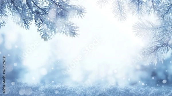 Fototapeta Frosty Pine Branches with Snowflakes on Winter Background