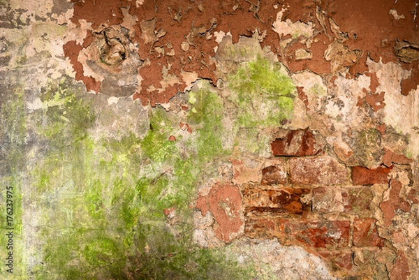 Obraz Old brick wall with peeled paint