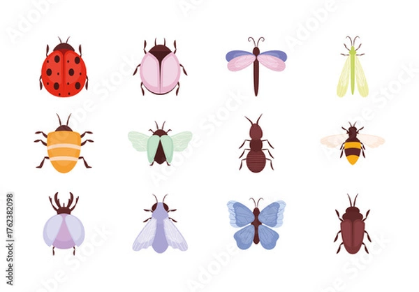 Obraz Colorful Insects Beetles Bugs Butterflies Illustration Set