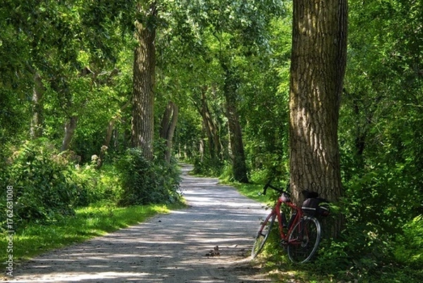 Obraz Summer day closeup of a red bike leaning against a tree in a lush green forest along the Illinois Prairie Path in suburban Chicago, Illinois.
