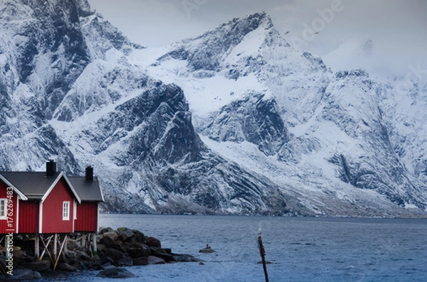 Obraz Red fishing houses in front of the snowy mountains on the coast of the Lofoten Islands