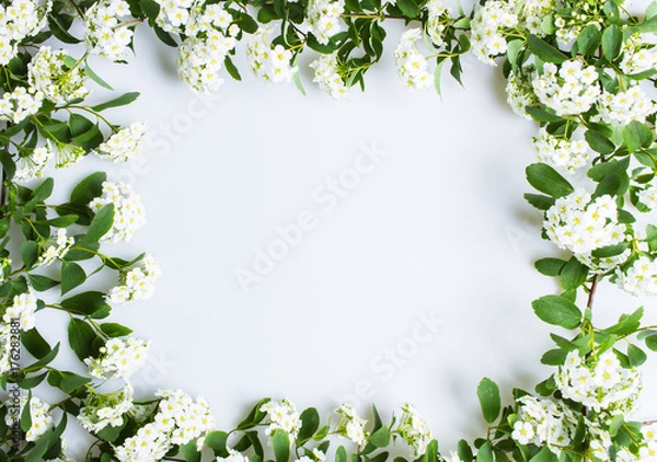 Fototapeta White flowers frame, copyspace