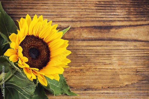 Fototapeta Słonecznik na podłoże drewniane z miejscem na tekst