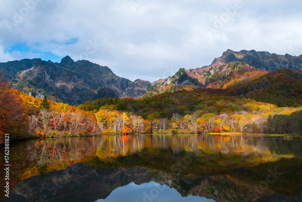 Fototapeta 鏡池　秋