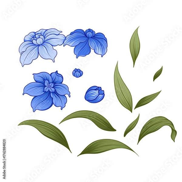 Obraz ilustration blue flower with leaf greend set