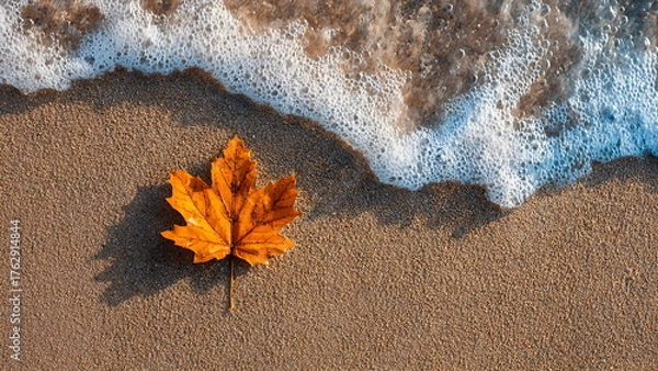 Obraz a maple leaf on beach