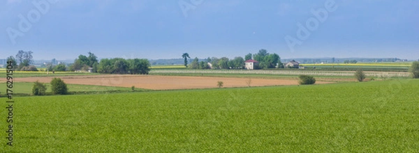 Obraz Pola uprawne panorama
