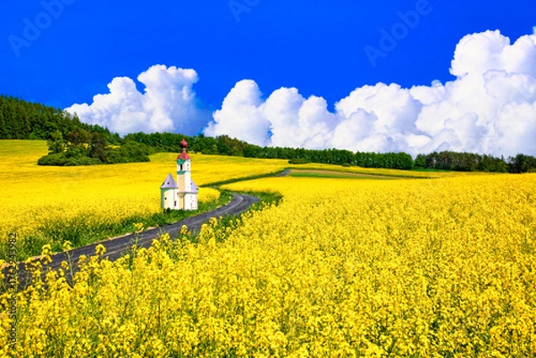 Obraz ボヘミア地方の美しい菜の花畑と教会合成