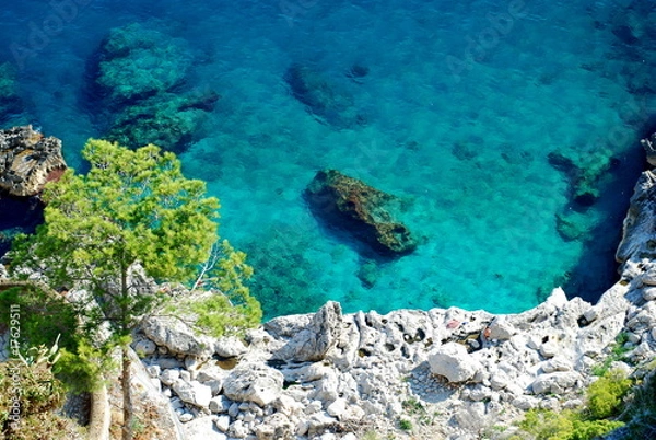 Obraz Azure sea at Capri island