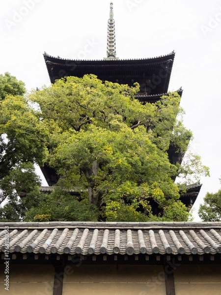 Obraz Five-storied padoga of Toji Temple
