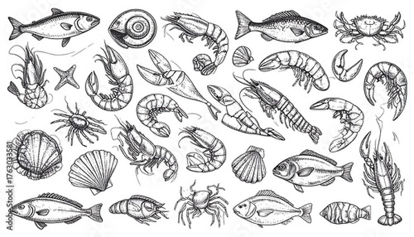 Fototapeta Seafood illustrations
