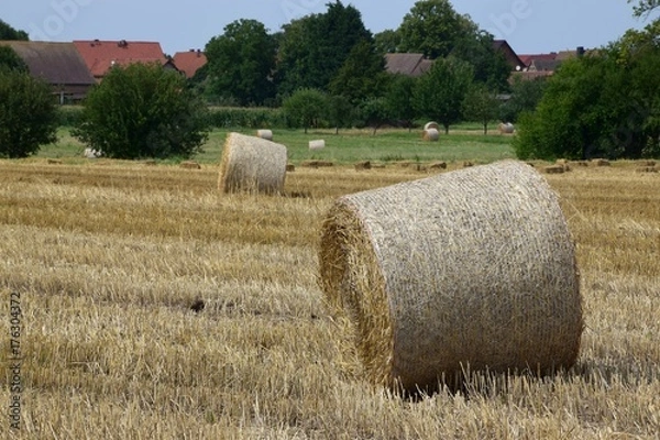 Obraz Heuballen (1)