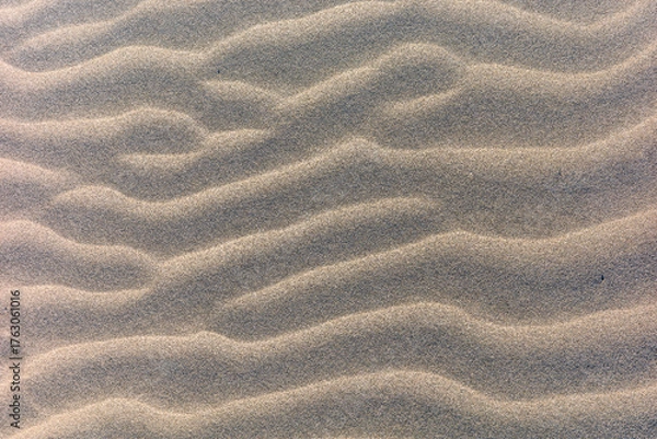 Fototapeta 湘南海岸の砂紋