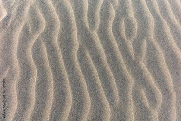 Fototapeta 湘南海岸の砂紋