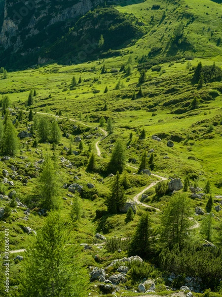 Fototapeta Small path in mountain landscape with trees