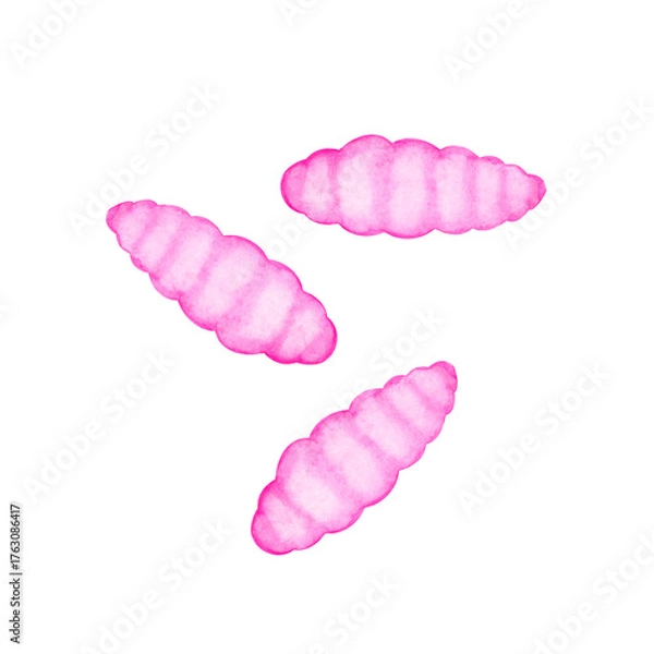 Obraz ワカサギ釣り 魚釣り　紅サシ 釣り餌　水彩 イラスト