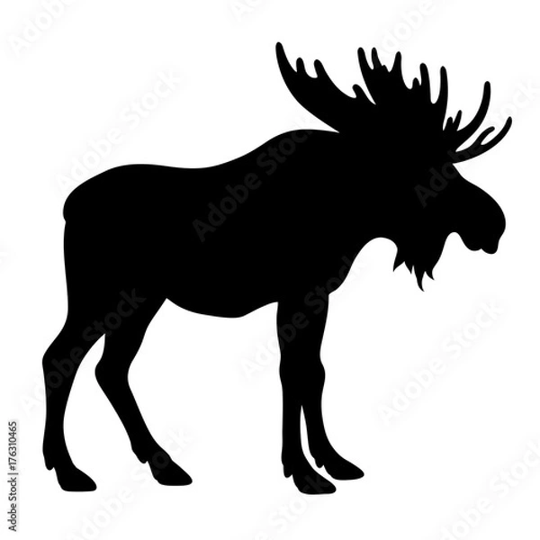 Obraz Moose silhouette 001