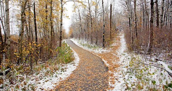 Fototapeta off the beaten path