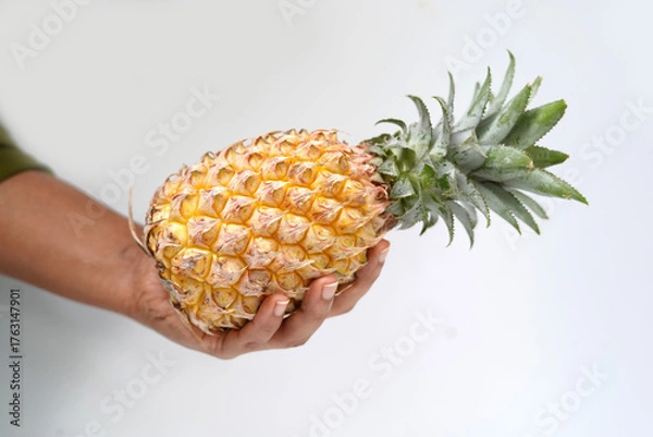 Obraz Hand holding pineapple. fruit photography