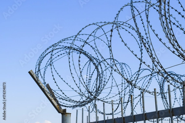 Obraz Barbed wire on the fence. Protective fencing specially protected
