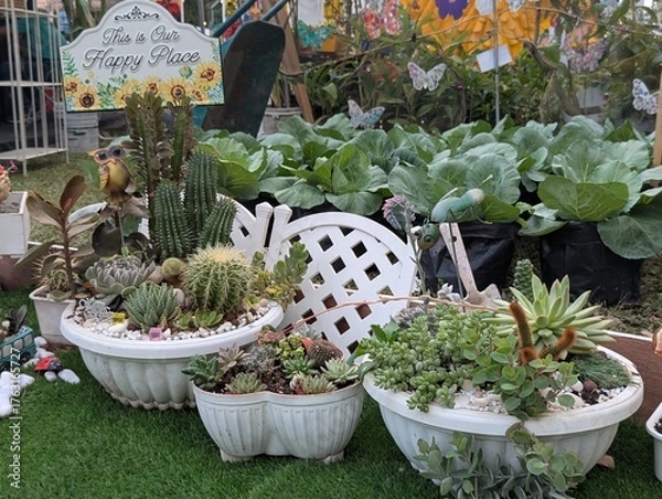 Obraz Arrangement of succulents with cute decorations in a garden
