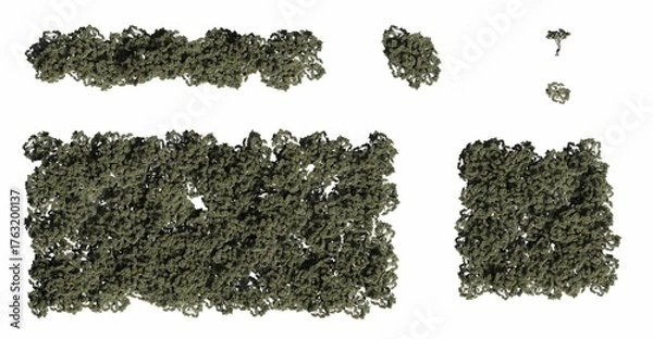 Fototapeta trees in the forest, top view, area view, isolated on white background, 3D illustration, cg render
